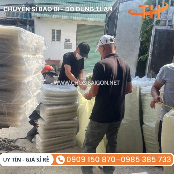 Vỉ nhựa đựng trứng 10 quả giao toàn quốc