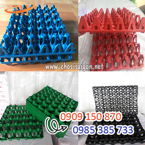 Vỉ nhựa đựng trứng 30 quả đủ màu giá tốt