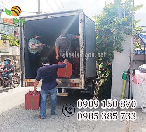 Vỉ nhựa đựng trứng 30 quả giá sỉ rẻ tại TP.HCM, Bình Dương