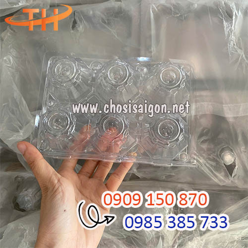 Vỉ nhựa kiếng đựng trứng gà, trứng vịt 6 quả giá rẻ