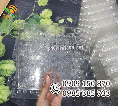 Vỉ nhựa đựng trứng cút 30 quả an toàn, chất lượng giá rẻ