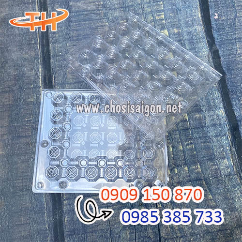 Vỉ nhựa đựng trứng cút giá sỉ tận xưởng