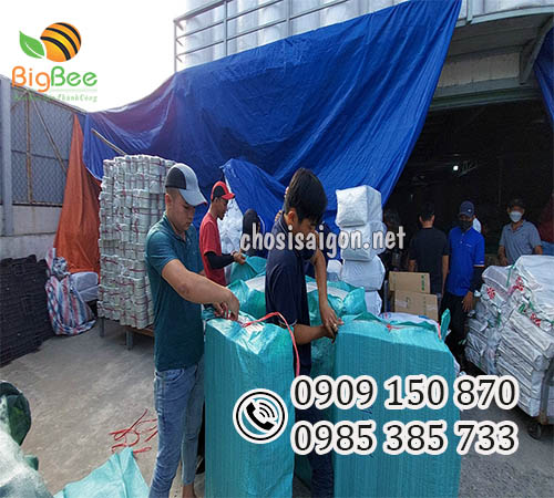 Vỉ nhựa đựng trứng cút 30 quả số lượng lớn giá sỉ rẻ