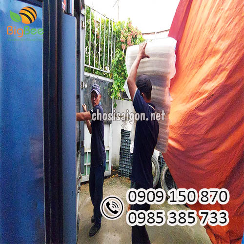 Vỉ nhựa đựng trứng cút 30 quả giao hàng tận nơi