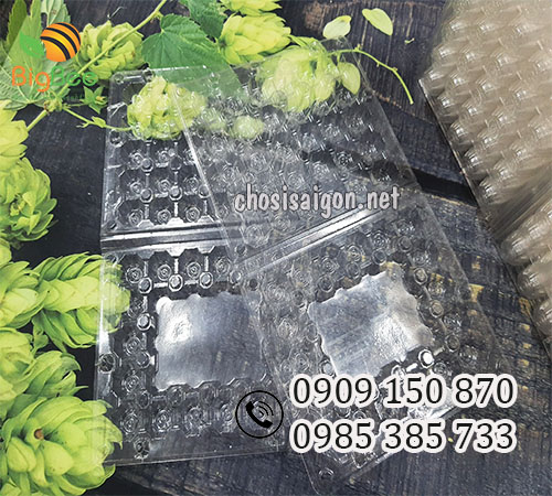 Vỉ đựng trứng cút 30 quả giá rẻ nhất