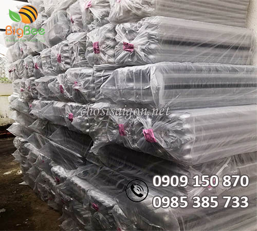 Số lượng lớn vỉ nhựa đựng trứng cút giá ưu đãi