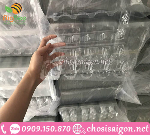 Vỉ nhựa đựng trứng 10 quả giá rẻ