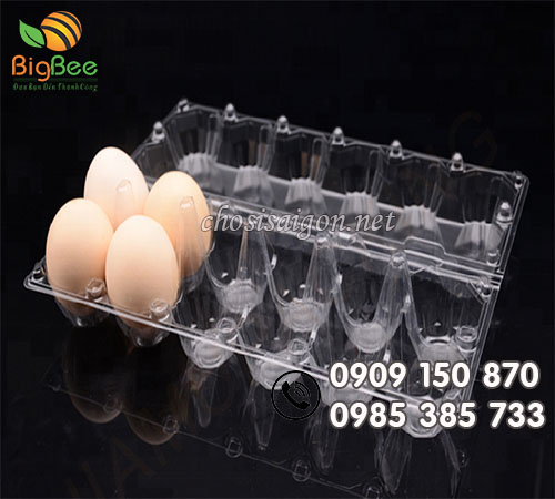 Vỉ nhựa đựng 10 trứng gà, vịt giá gốc tại xưởng