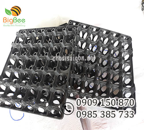 Vỉ nhựa đựng trứng 30 quả màu đen giá sỉ