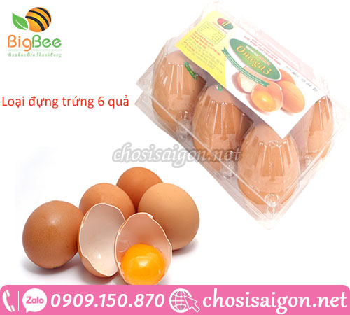 Vỉ nhựa đựng trứng giá rẻ tại công ty Thu Hồng