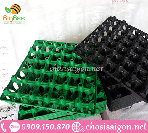 Vỉ nhựa - khay nhựa đựng trứng 2 màu giá sỉ rẻ