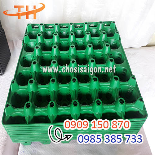 Vỉ nhựa đựng trứng 30 quả màu xanh lá bền, tốt sỉ rẻ