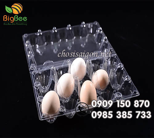 Vỉ nhựa PET đựng 10 trứng gà giá sỉ