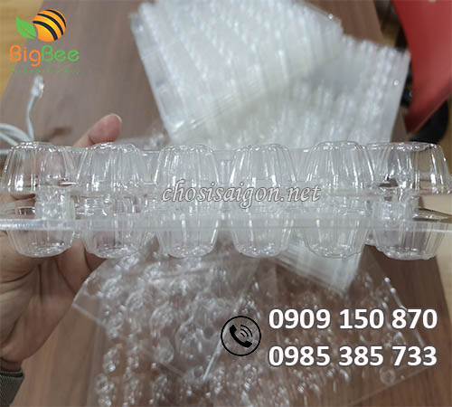Gía sỉ vỉ nhựa pet đựng trứng cút 30 quả