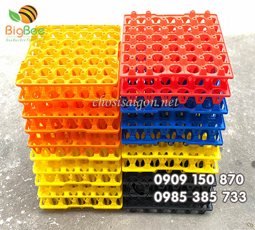 Phân phối vỉ nhựa pp đựng 30 quả trứng giá sỉ rẻ