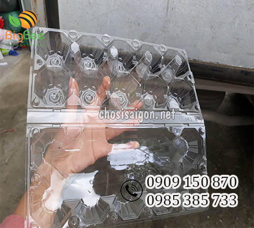 Vỉ nhựa đựng trứng 10 quả ấn nút giá sỉ rẻ