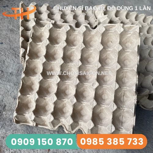 Vỉ giấy đựng trứng gà vịt, nuôi dế 30 quả