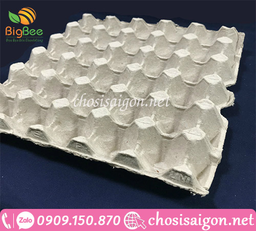Vỉ trứng giấy đựng trứng, nuôi dế giá rẻ
