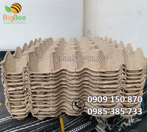 Gía rẻ vỉ trứng giấy Malaysia ưu đãi