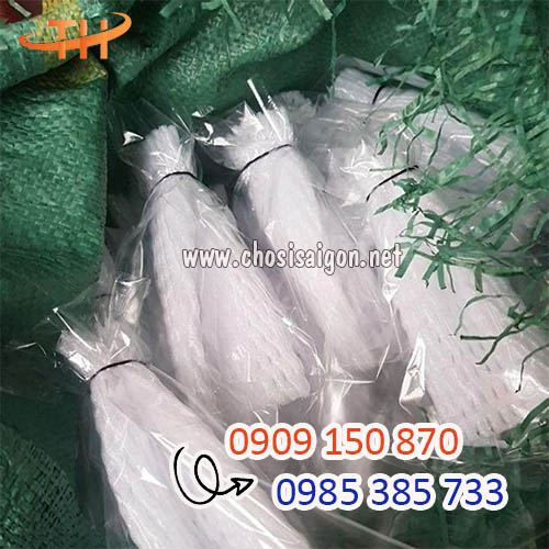 Xốp bọc ổi lồng sẵn giá siêu tốt