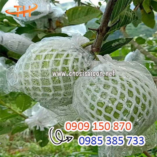 Xốp bọc ổi lồng sẵn sỉ rẻ tốt nhất