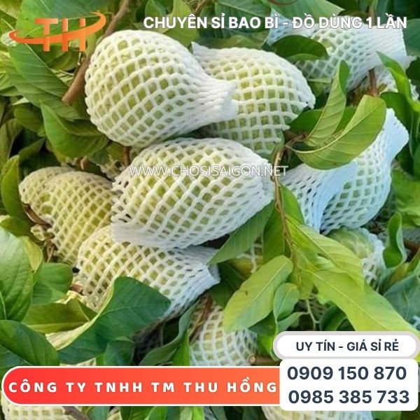 Xốp bọc ổi cho nhà vườn, chợ nông sản