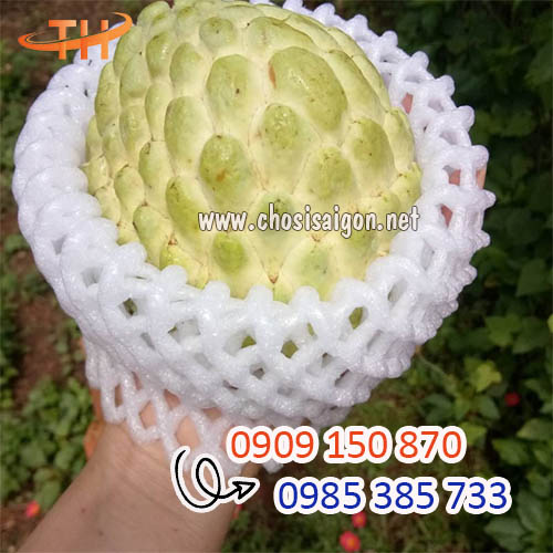 Xốp lưới bọc trái cây chất lượng giá rẻ tại Bình Chánh