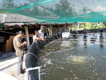 Long An: Chỉ nuôi 4 vụ tôm công nghệ cao