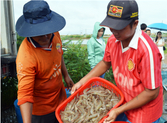 Mỹ - Nga săn hàng, Nhật Bản tăng mua, mới 4 tháng loài thủy sản này của Việt Nam đã thu tỷ USD