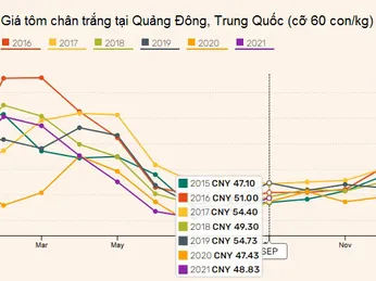 Trung Quốc: Giá tôm chân trắng tăng trong tháng 9/2021