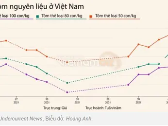 Giá tôm nguyên liệu tăng bất chấp dịch COVID-19