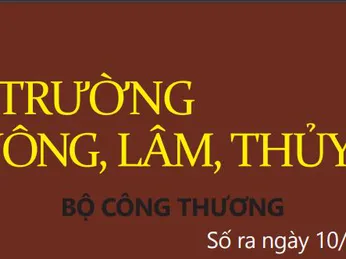 Bản tin thị trường nông, lâm, thủy sản số ra ngày 10/11/2021