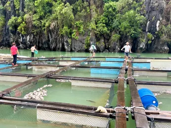 Nghiên cứu nâng gói tín dụng ưu đãi thủy sản lên 60.000 tỷ đồng