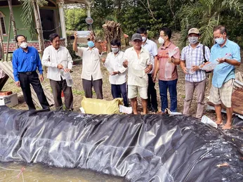 Cà Mau: Nuôi tôm kiểu gì mà giảm chi, tăng thu, nông dân râm ran mách nhau?