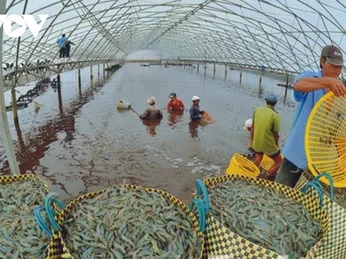 Giá thức ăn thủy sản và chăn nuôi tăng cao khiến doanh nghiệp thêm lao đao