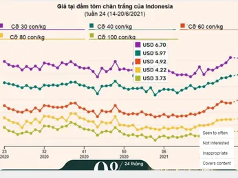 Giá tôm Indonesia giảm nhẹ trong tuần qua