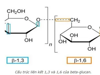 Tách chiết beta-glucan trên quy mô công nghiệp