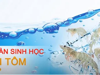 Hệ thống AN TOÀN SINH HỌC/ khắc tinh của bệnh THÂN ĐỎ ĐỐM TRẮNG/ biosecurity in shrimp farming