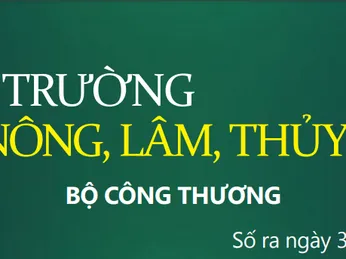 Bản tin thị trường nông, lâm, thủy sản số ra ngày 31/8/2021