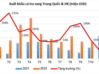 Hạn chế bởi Covid, Trung Quốc vẫn thu hút 160 doanh nghiệp xuất khẩu cá tra