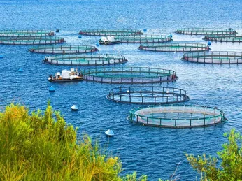 Seafoodsource: Top 5 câu chuyện của ngành nuôi trồng thủy sản năm 2022