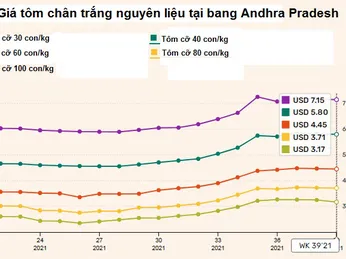 Ấn Độ: Giá tôm chân trắng nguyên liệu tiếp tục ở mức cao