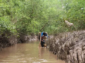 Cà Mau: Phát triển kinh tế từ mô hình nuôi thủy sản trong rừng ngập mặn