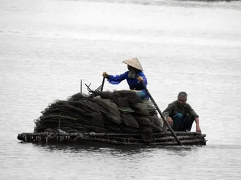 Cần ngăn chặn tình trạng đánh bắt tận diệt thủy sản