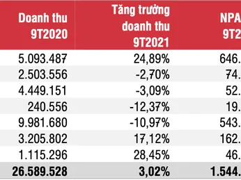 Cổ phiếu thủy sản VHC, FMC, CMX dự báo sắp tăng tốc trở lại đường đua