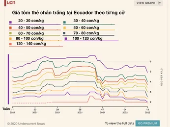 Lợi nhuận nuôi tôm tại Ecuador bị bào mòn vì chi phí tăng trong khi giá bán lao dốc