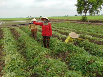 Thủy sản 'đứng hình', ngành nào bù đắp ?