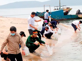 TP.Móng Cái (Quảng Ninh): Thả 450 nghìn con tôm, cá giống xuống biển tái tạo môi trường