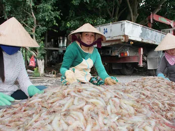 Bình Đại phát triển kinh tế về hướng đông