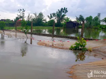 Ao hồ ngập băng, nông dân Nghệ An 'khóc ròng' vì mất trắng tiền tỷ